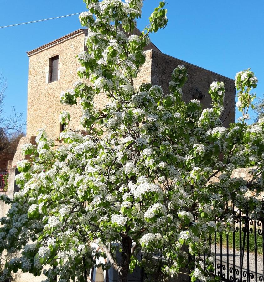 Pyrgos 1869 Villa ยีธิโอ ภายนอก รูปภาพ